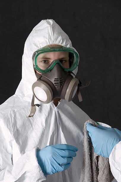 Best Mold Remediation for Rental Properties  in Phoenix, NY